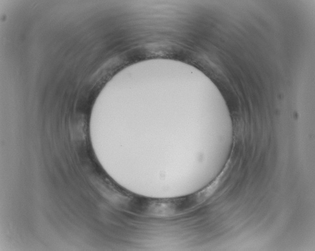 X0000072990174200608111816