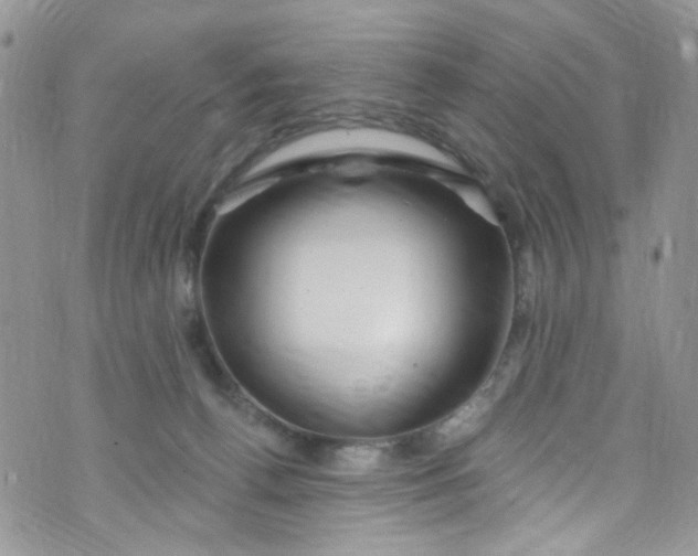 X0000072990176200608111816