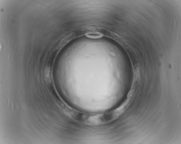 X0000072990178200608111816