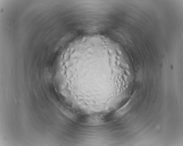 X0000072990179200608111816