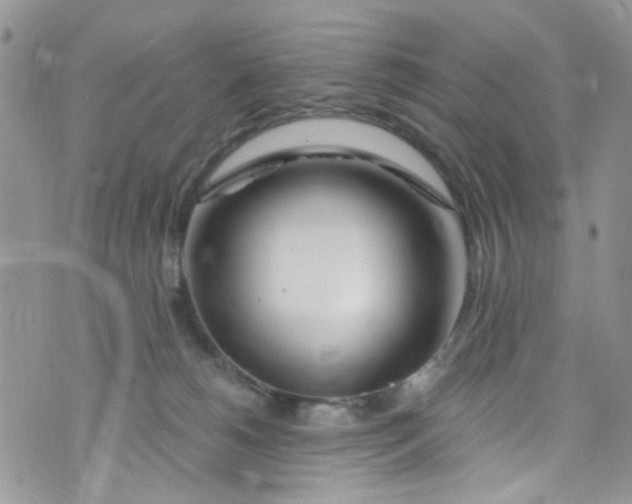 X0000072990180200608111816