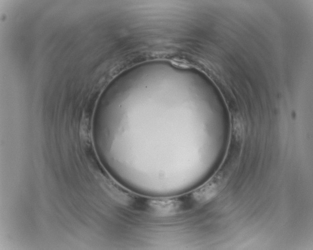 X0000072990181200608111816