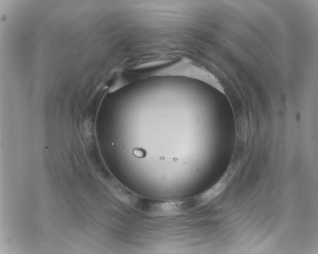 X0000072990184200608111816