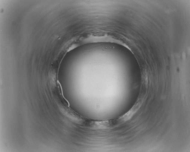 X0000072990188200608111816