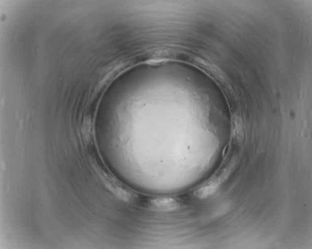 X0000072990189200608111816