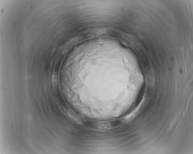 X0000072990191200608111816