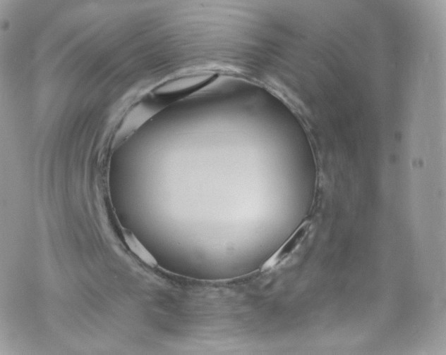 X0000072990193200608111815