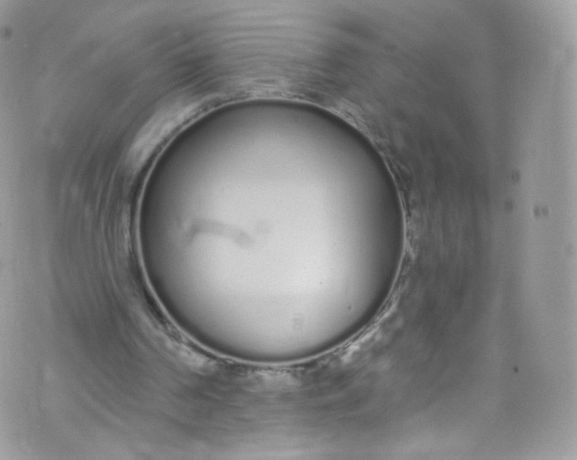 X0000072990194200608111815