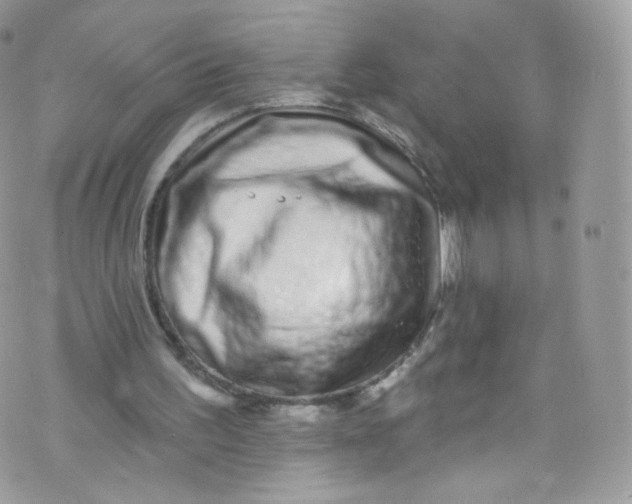 X0000072990195200608111815