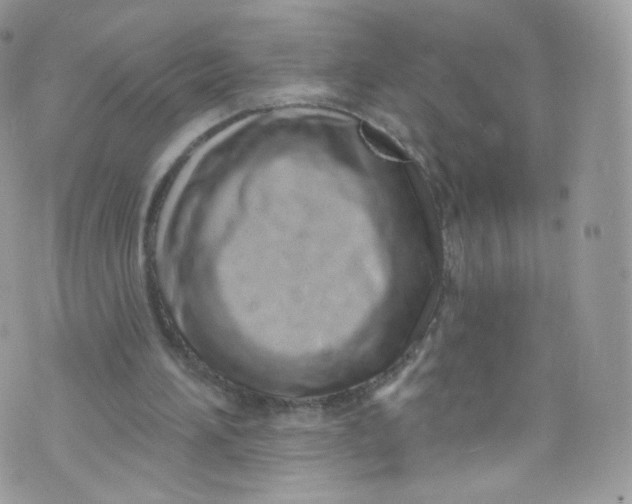 X0000072990196200608111815