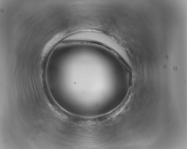 X0000072990197200608111815