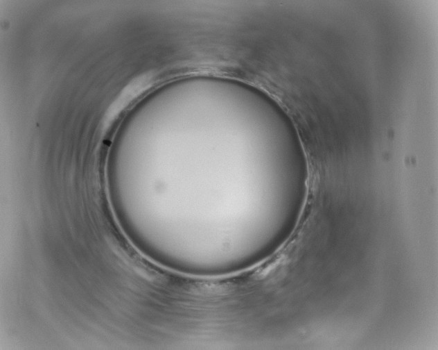 X0000072990198200608111815