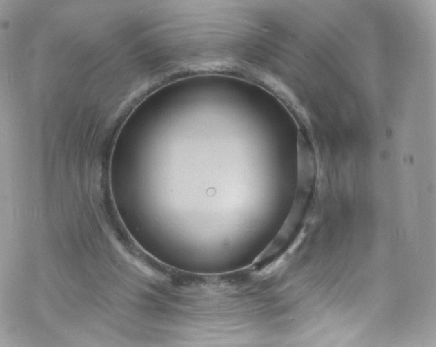 X0000072990201200608111815