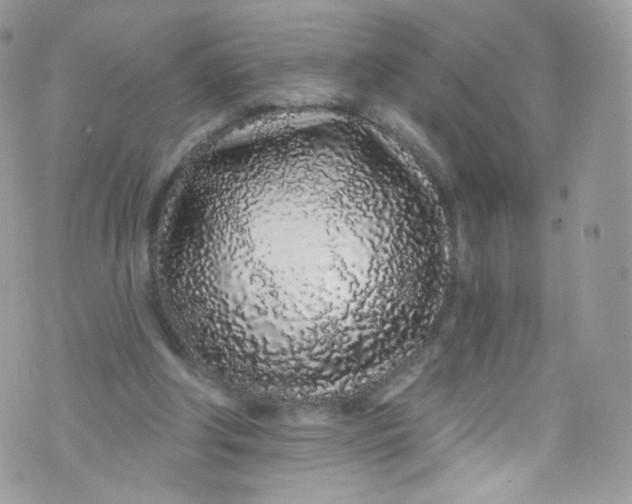 X0000072990202200608111815