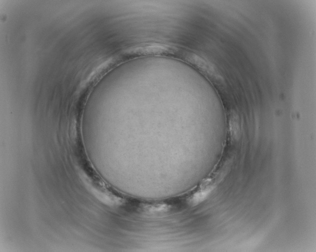 X0000072990206200608111815