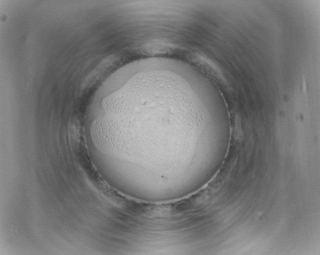 X0000072990210200608111815