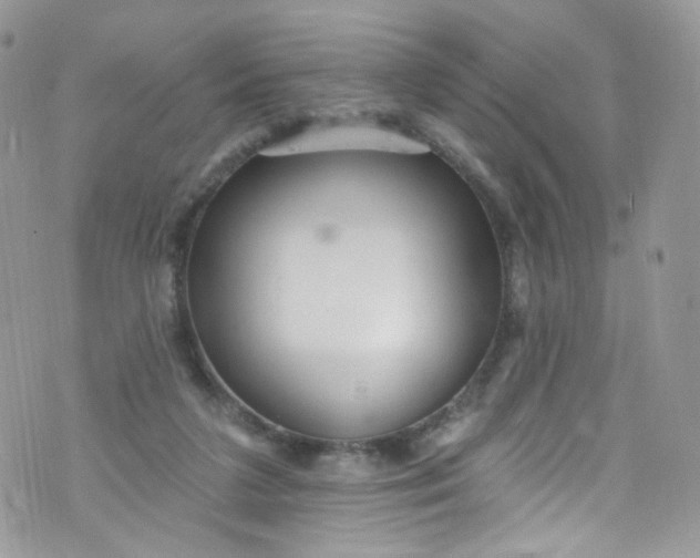 X0000072990211200608111815