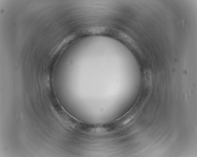 X0000072990212200608111815