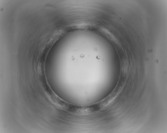 X0000072990213200608111815