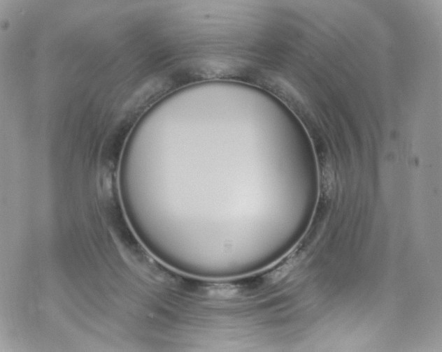 X0000072990214200608111815