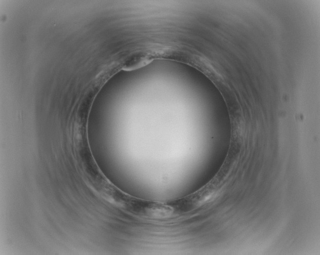 X0000072990215200608111815