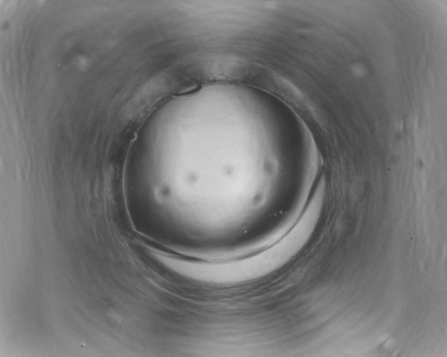 X0000072990217200608111815