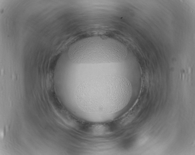 X0000072990218200608111815