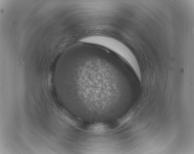 X0000072990219200608111815