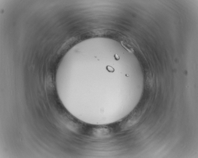 X0000072990220200608111815