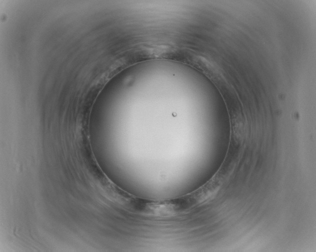 X0000072990221200608111815