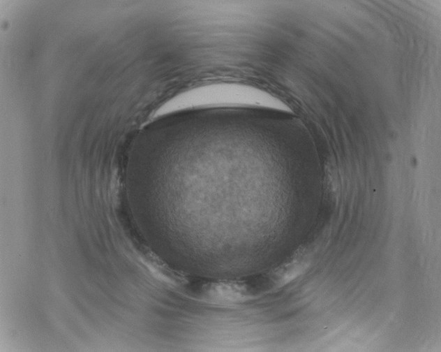 X0000072990223200608111815