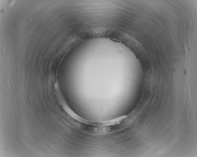 X0000072990225200608111815