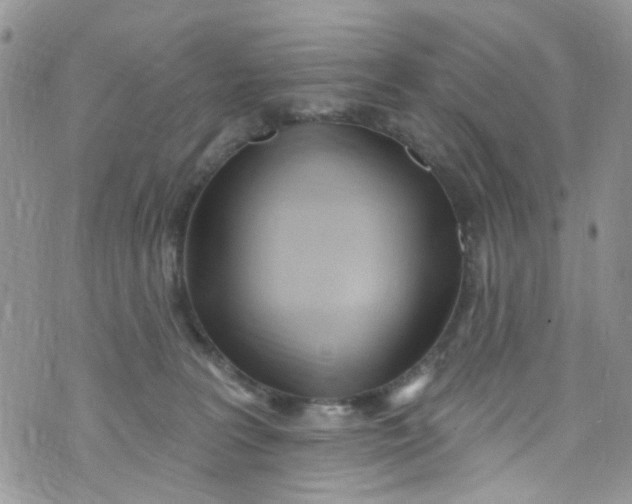 X0000072990227200608111815