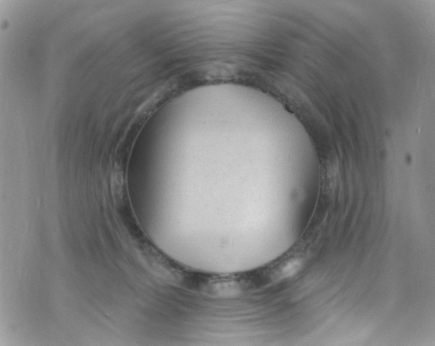 X0000072990228200608111815