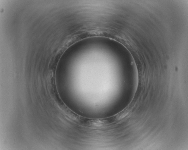 X0000072990229200608111815