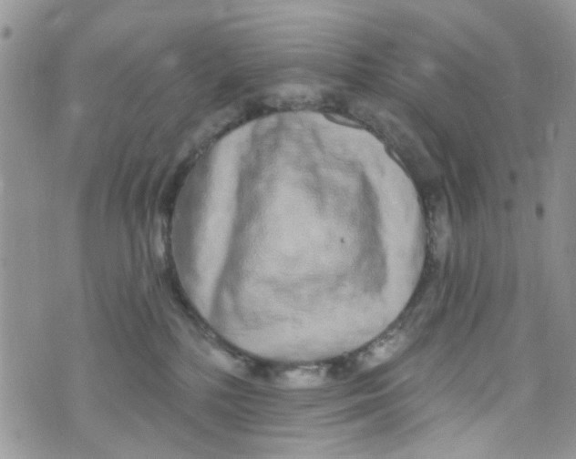 X0000072990232200608111815