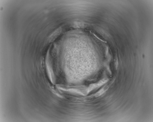 X0000072990233200608111815