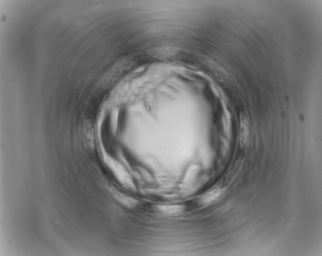 X0000072990234200608111815