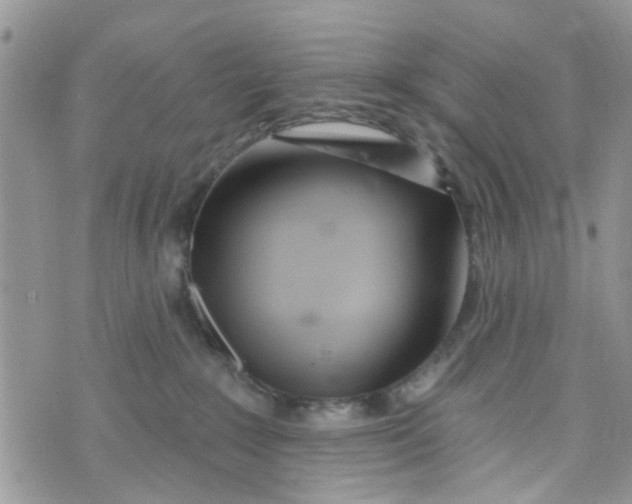 X0000072990235200608111815