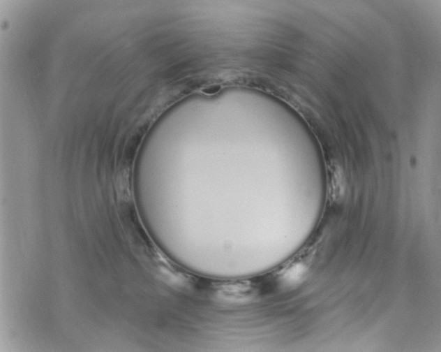 X0000072990236200608111815