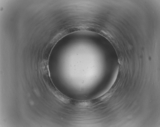 X0000072990237200608111815