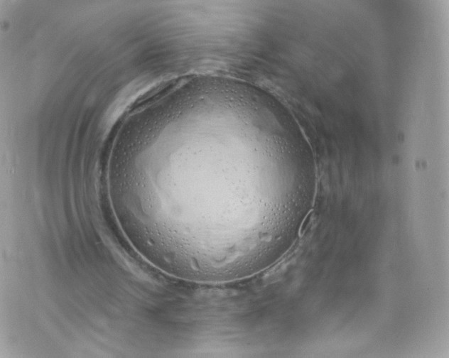 X0000072990242200608111814