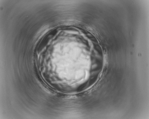 X0000072990243200608111814