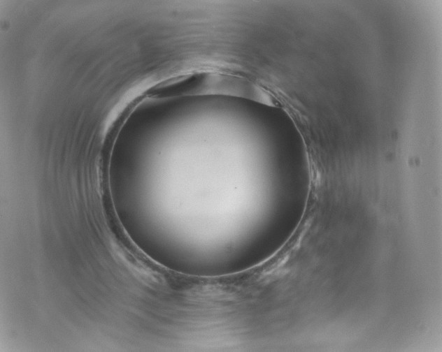 X0000072990244200608111814