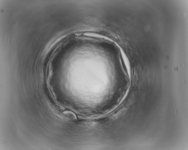 X0000072990247200608111814