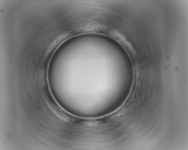 X0000072990250200608111814