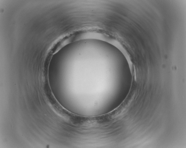 X0000072990252200608111814