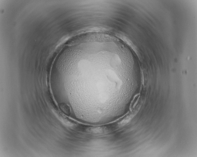 X0000072990253200608111814