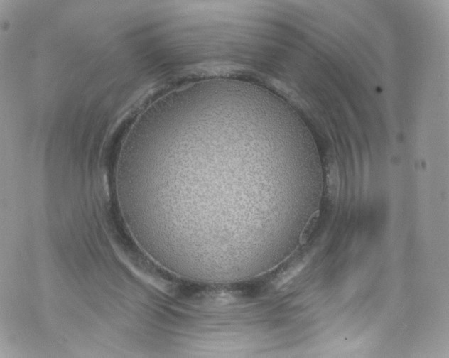 X0000072990254200608111814