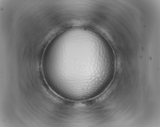 X0000072990257200608111814